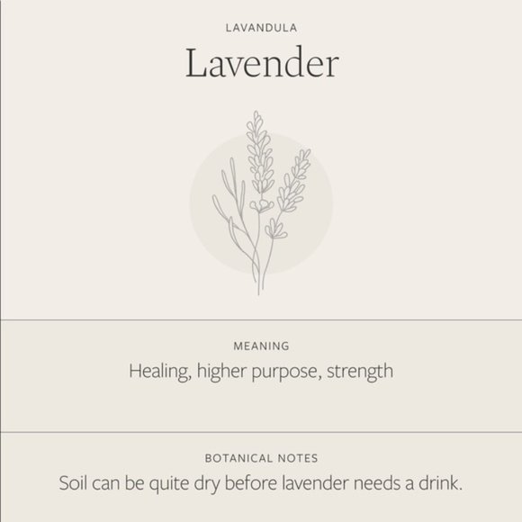 Lavender Floral Boho Plant Charm Pendant Necklace - Picture 7 of 16